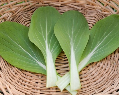 PACK CHOI sobre 50 g